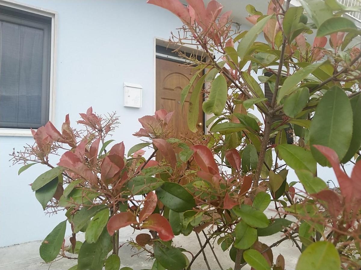 Rosa Dei Venti House Βίλα Campomarino  Εξωτερικό φωτογραφία