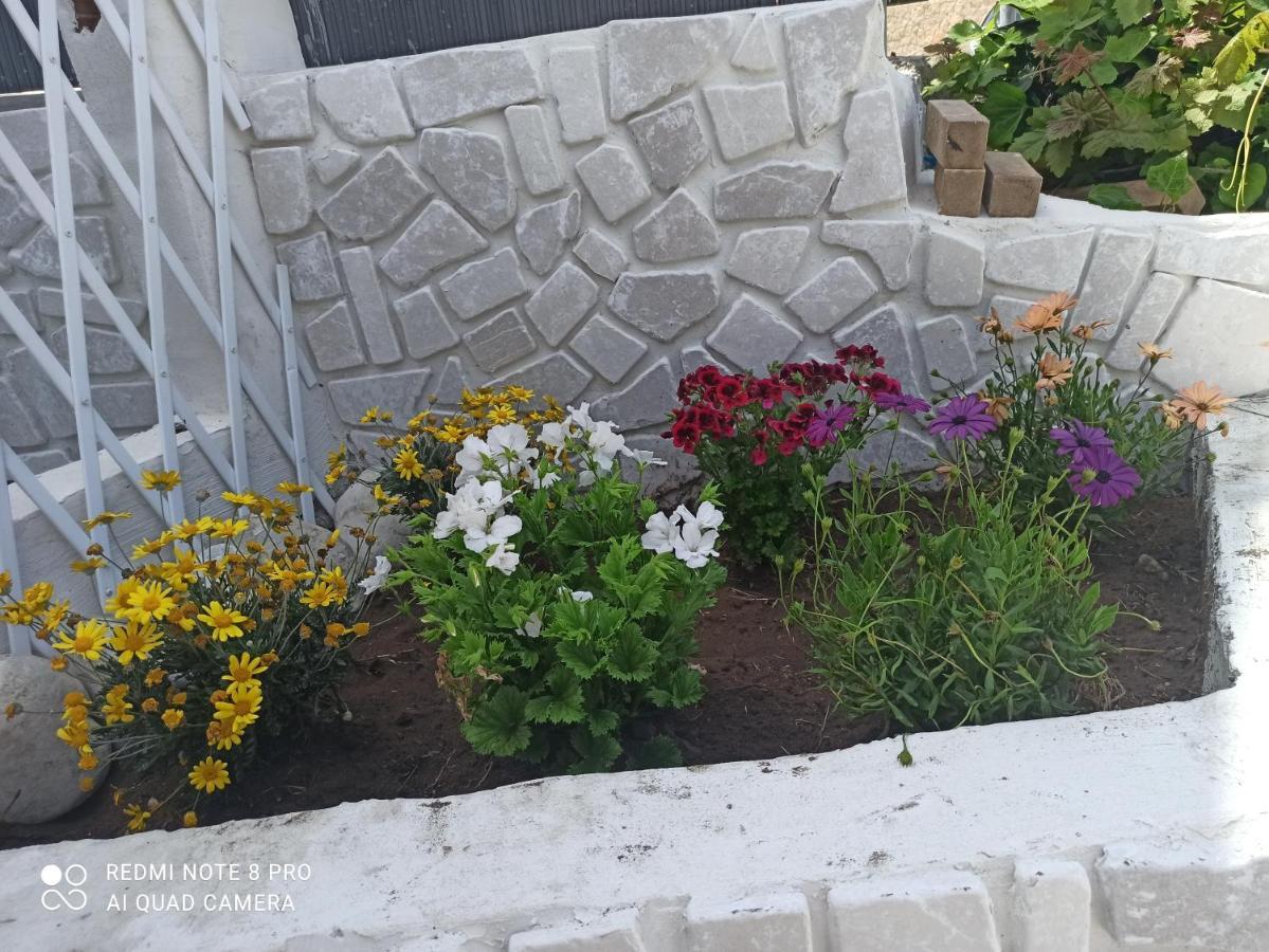Rosa Dei Venti House Βίλα Campomarino  Εξωτερικό φωτογραφία