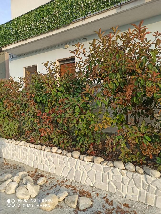 Rosa Dei Venti House Βίλα Campomarino  Εξωτερικό φωτογραφία